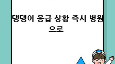 내 댕댕이, 혹시 아픈가? 🐶 강아지 아픈 징후 완벽 가이드