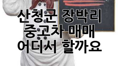 산청군 장박리 중고차 매매, 어디서 할까요?